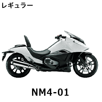 NM4-01