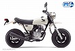 エイプ50